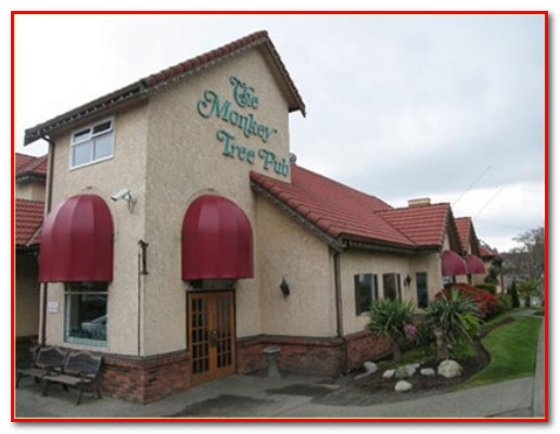 Monkey Tree Pub - Picture 00