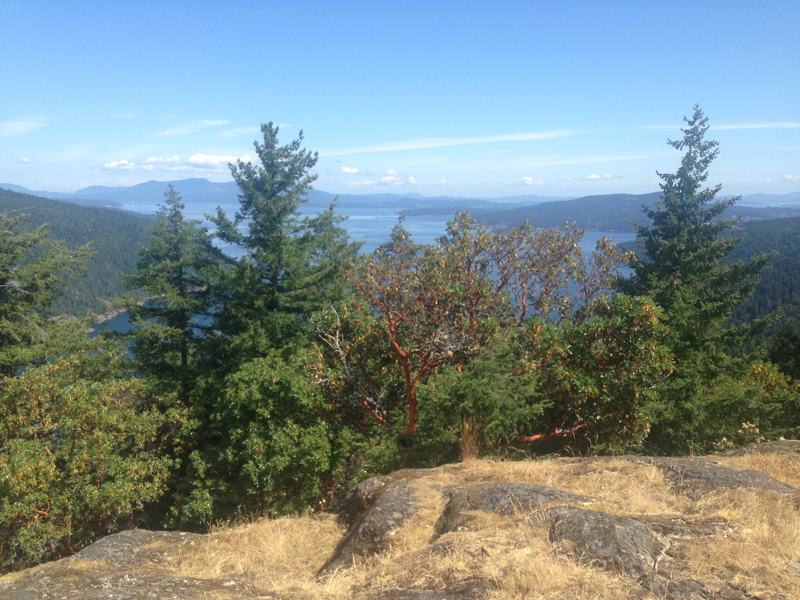 Read more about the article Hiking Review: McKenzie Bight & Squally Reach Viewpoint @ Jul 11, 2017