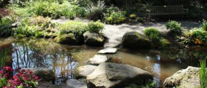 Read more about the article DID YOU KNOW: Two Of Canada’s Best Rhododendron Displays