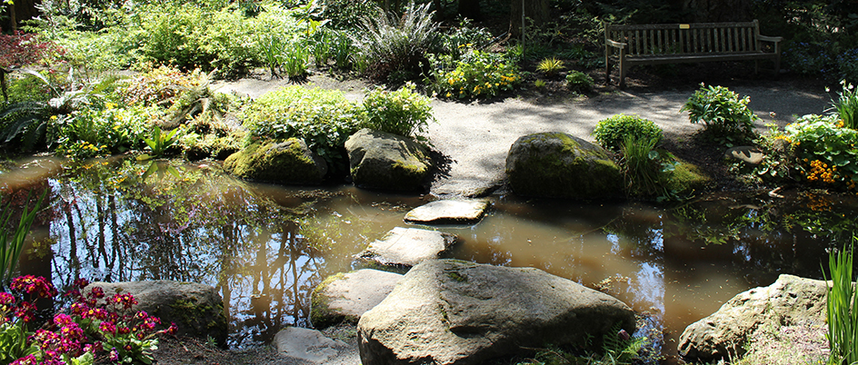Read more about the article DID YOU KNOW: Two Of Canada’s Best Rhododendron Displays