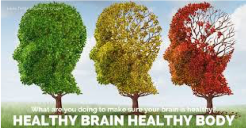Read more about the article LIFESTYLE: Keeping Our Brain Healthy