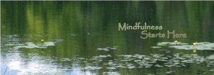Read more about the article LIFESTYLE: Mindfulness and Stress Management