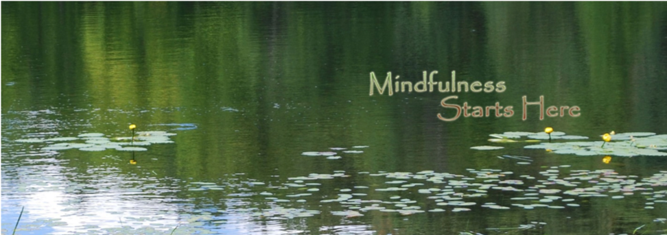 Read more about the article LIFESTYLE: Mindfulness and Stress Management